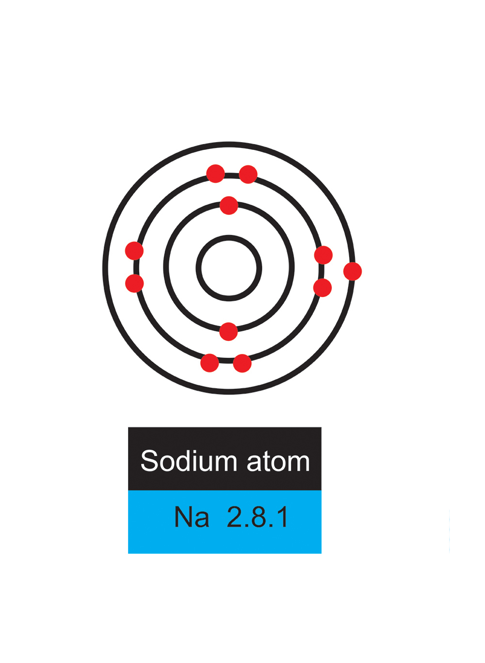 Atoms need all shells filling with the correct number if not it will react with other atoms to fill or release electrons sodium in this case wants to get rid of the single electron in its outer shell